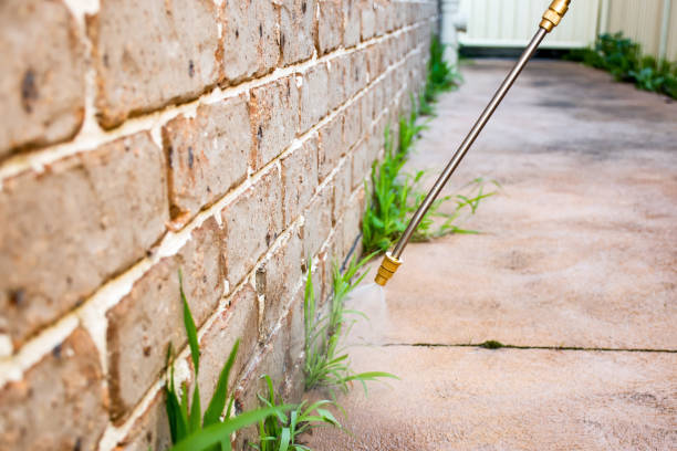 Pest Control for Warehouses in Carrington, ND